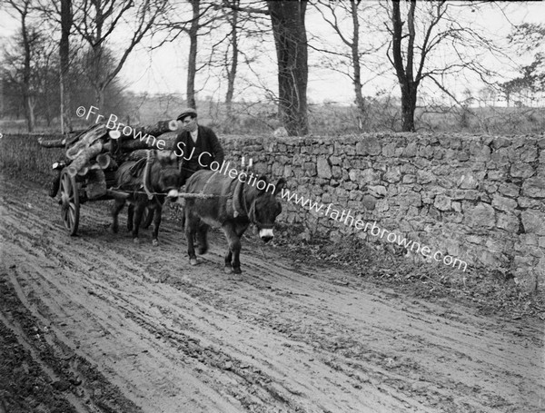 PAIR OF DONKEYS PULLING LOG CART